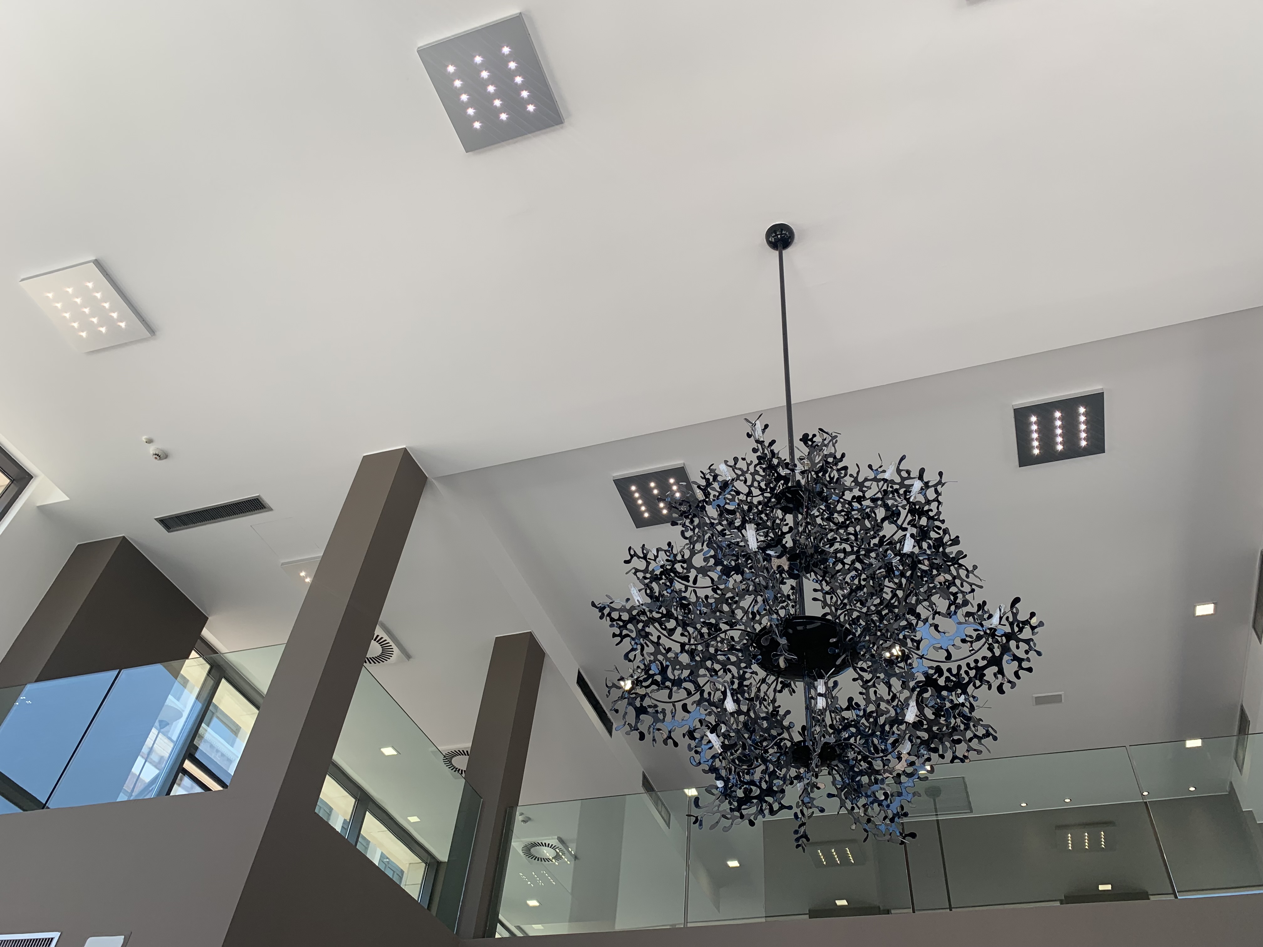 Sede Bazery vista soffitto